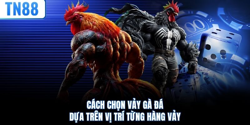 Cách chọn vảy gà đá dựa trên vị trí từng hàng vảy