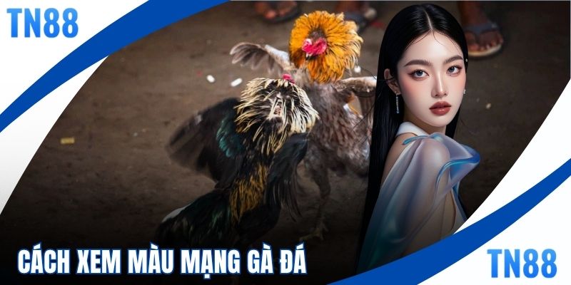 Cách Xem Màu Mạng Gà Đá