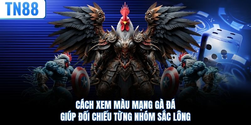 Cách xem màu mạng gà đá giúp đối chiếu từng nhóm sắc lông