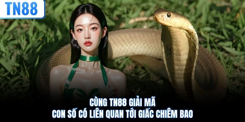 Cùng TN88 giải mã con số có liên quan tới giấc chiêm bao