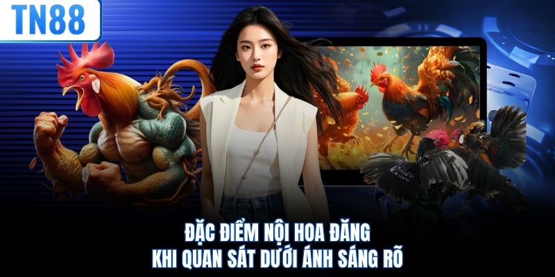 Đặc điểm nội hoa đăng khi quan sát dưới ánh sáng rõ