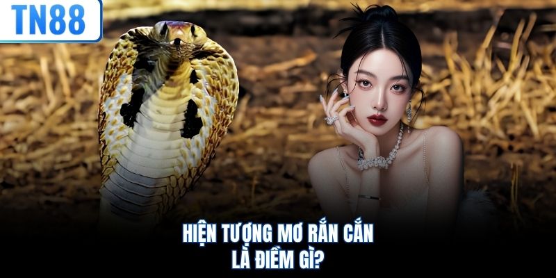 Hiện tượng mơ rắn cắn là điềm gì?
