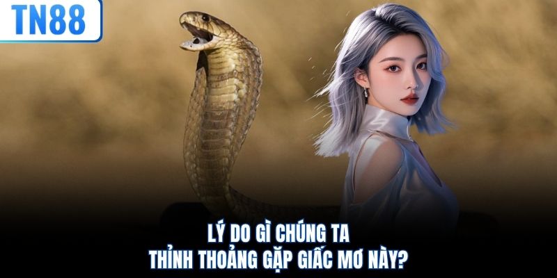 Lý do gì chúng ta thỉnh thoảng gặp giấc mơ này?