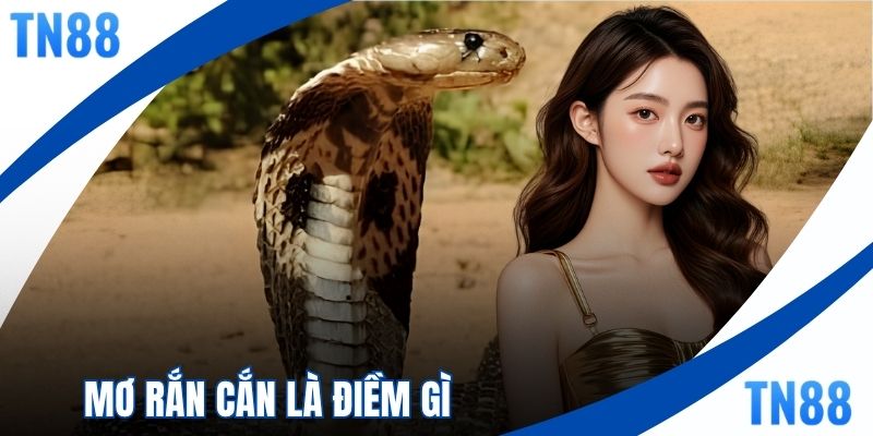 Mơ Rắn Cắn Là Điềm Gì