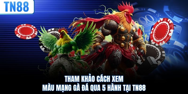 Tham khảo cách xem màu mạng gà đá qua 5 hành tại TN88