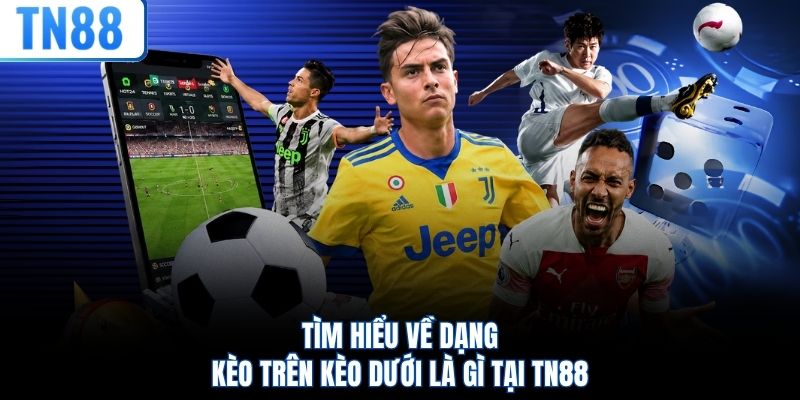 Tìm hiểu về dạng kèo trên kèo dưới là gì tại TN88