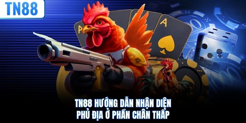 TN88 hướng dẫn nhận diện phủ địa ở phần chân thấp